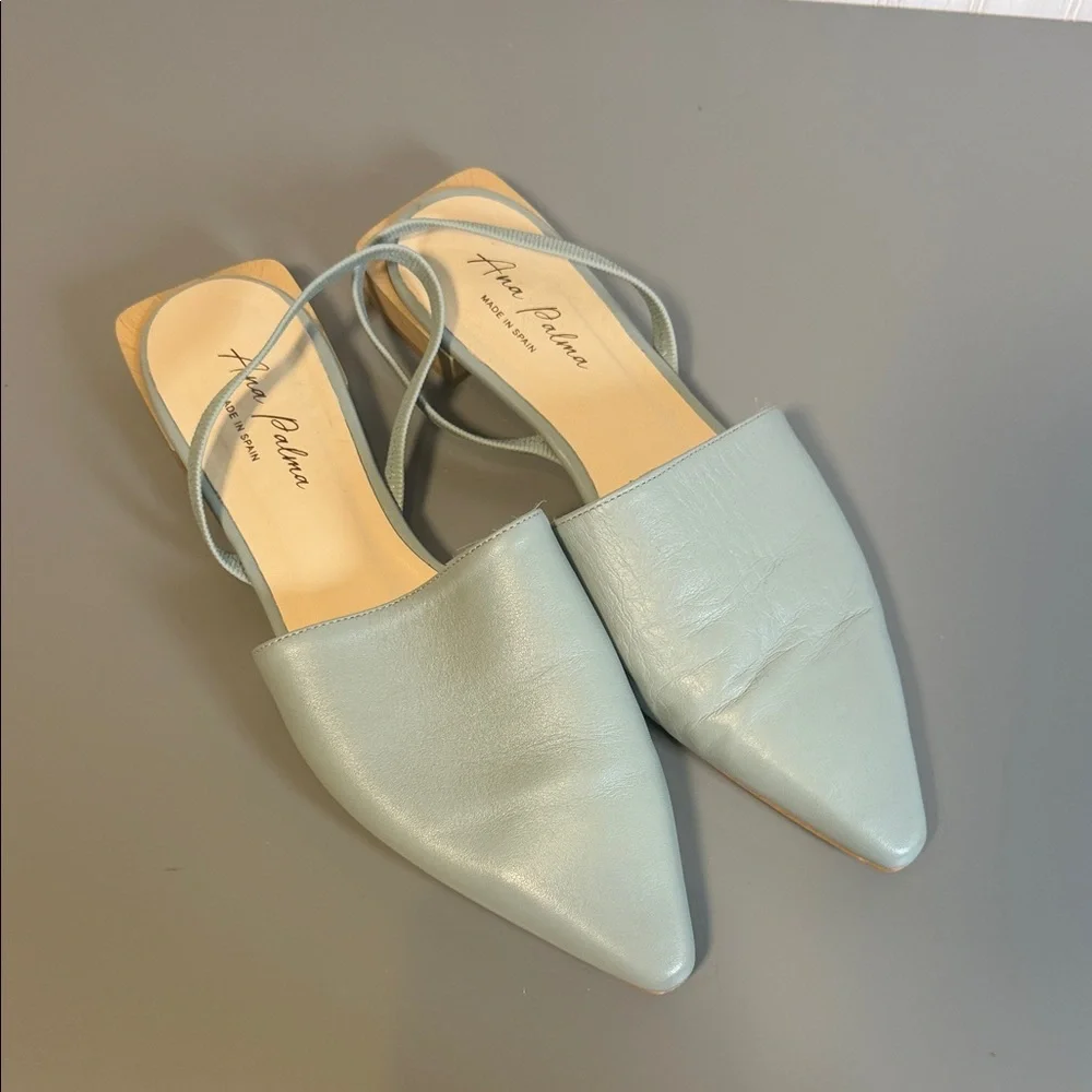 ANA PALMA POINT TOE SLING BACK SQUARE HEEL 39